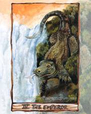 Tarotdek Animisme Tarot