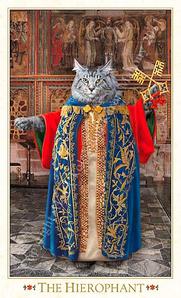 Baraja de tarot Tarot de los Gatos Bohemios Barrocos