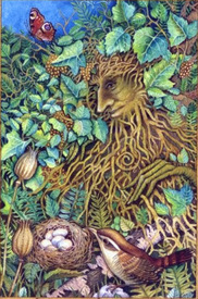 Chrysalis Tarot tarot deck