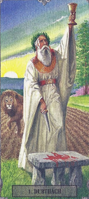 Tarotsæt Druids Tarot