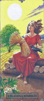 Tarotdeck Druids Tarot