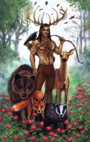 Tarotdeck Tarot der Grünen Hexe