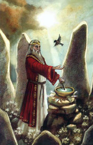 Tarotdeck Tarot der Grünen Hexe