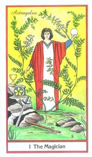 Tarotsæt Urtetarot