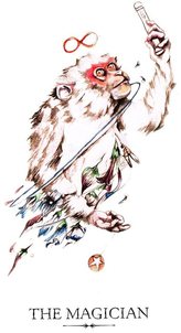 Tarotsæt Linestrider Tarot