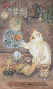 Tarotsæt Mystical Cats Tarot