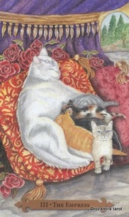 Mystical Cats Tarot tarot deck