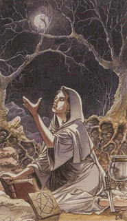 Tarotsæt Hedensk Tarot