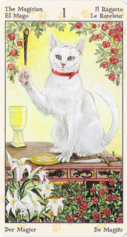 Tarotsæt Hedenske Katte Tarot