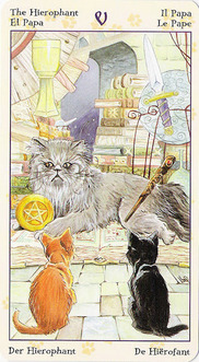 Pagan Cats Tarot tarot deck