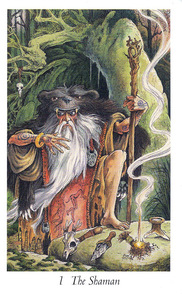 Tarotsæt Wildwood Tarot
