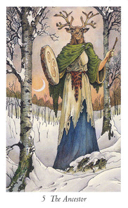 Tarotsæt Wildwood Tarot